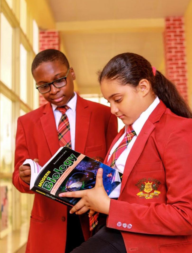 slide bgrd daisies 2